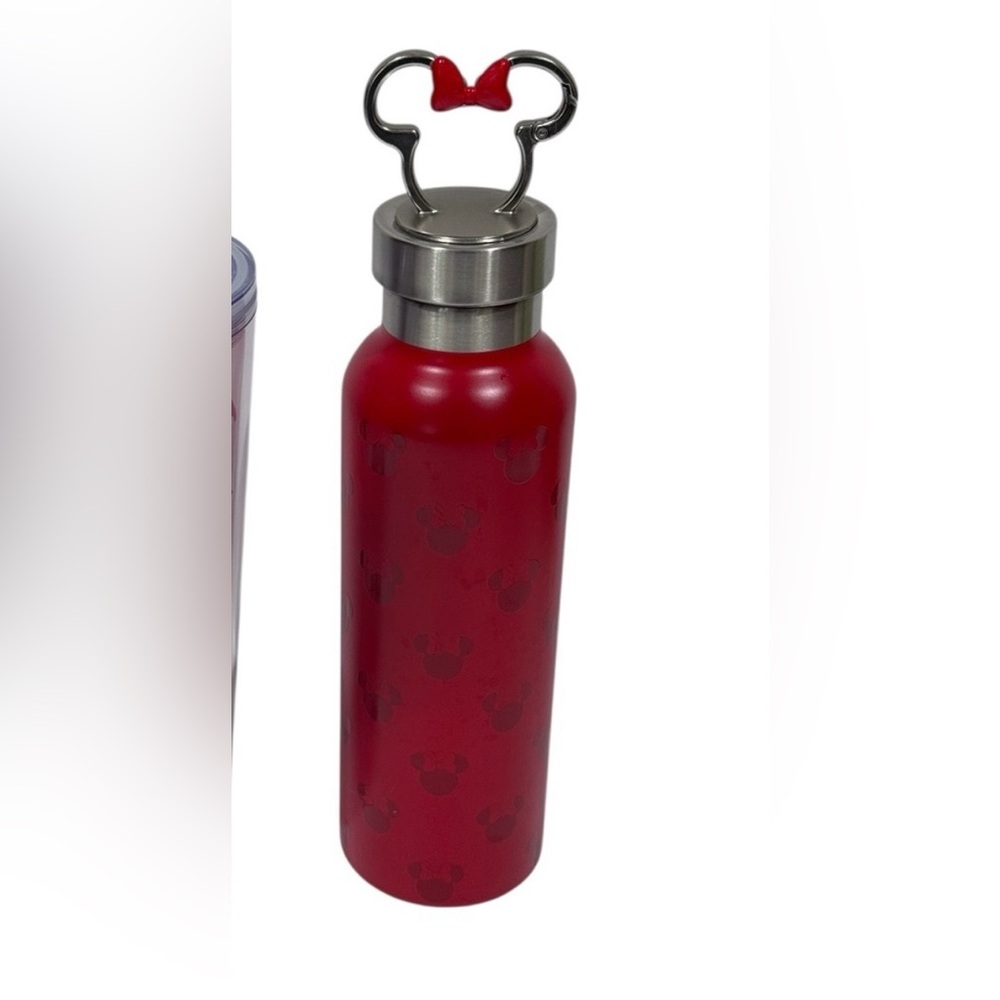 Disney Parks Stainless Steel Water Bottle